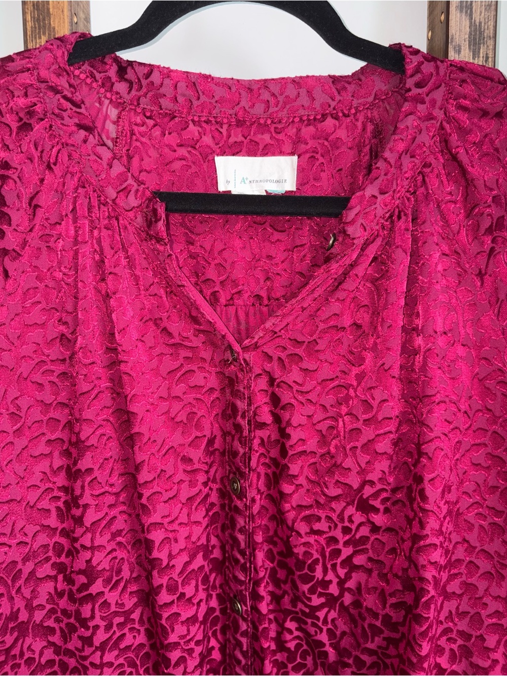 Anthropologie Susanna Burnout Velvet Oversized 3X Buttondown Semi Sheer Blouse - Picture 10 of 16